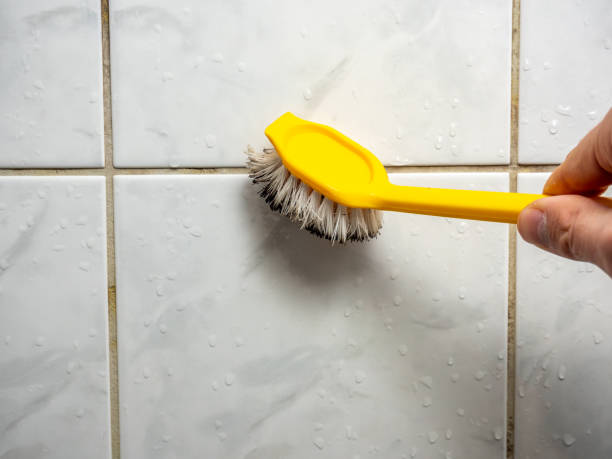 Best Best Mold Removal Companies  in Crofton, MD